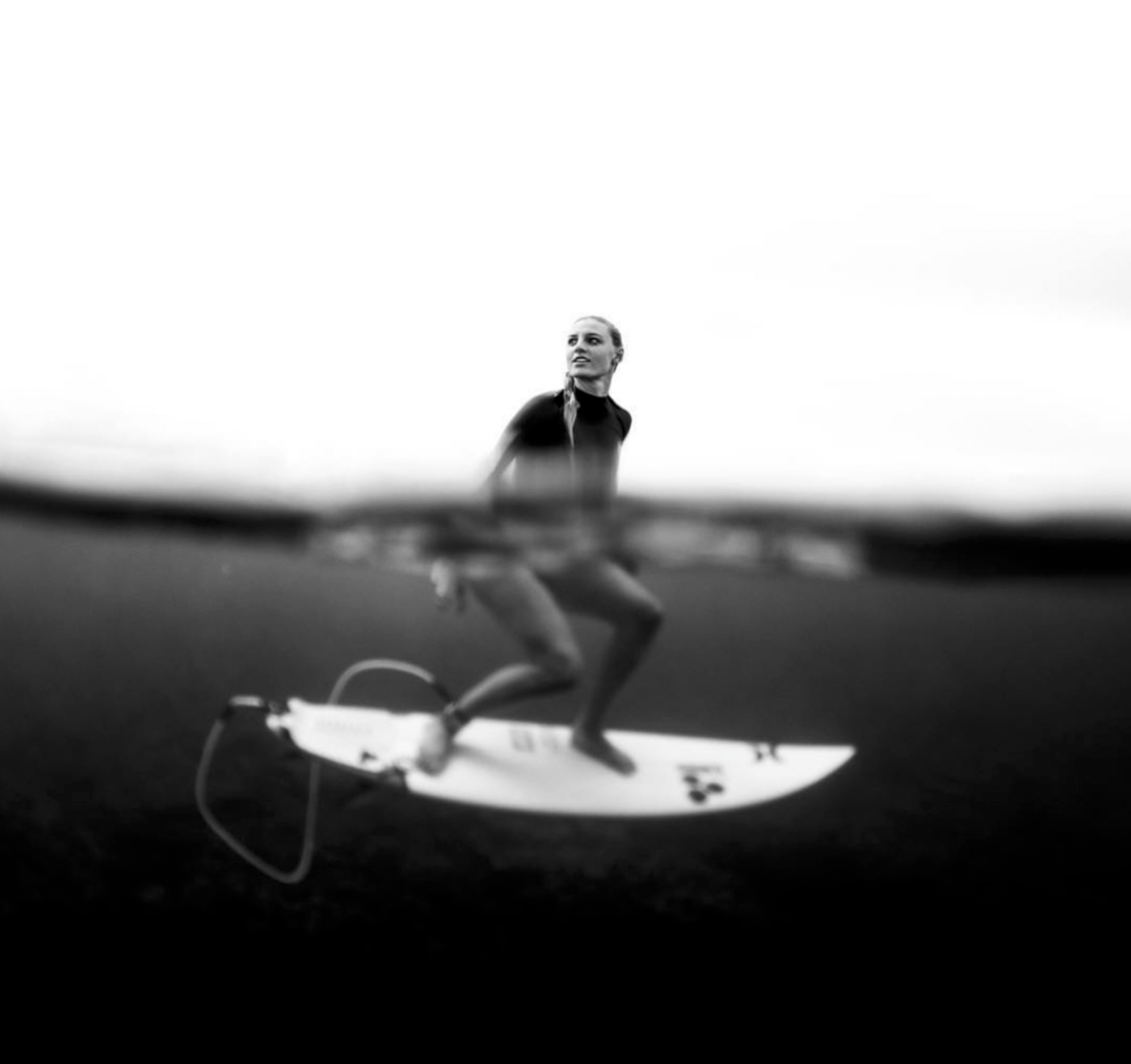 NICK LIOTTA -OVER/UNDER - LAKEY PETERSON