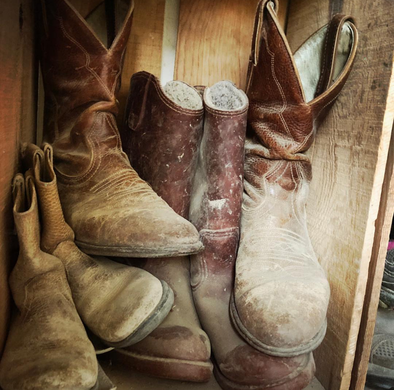HEATHER RAE PRIEST-BOOTS AT AUNT JACKIE'S