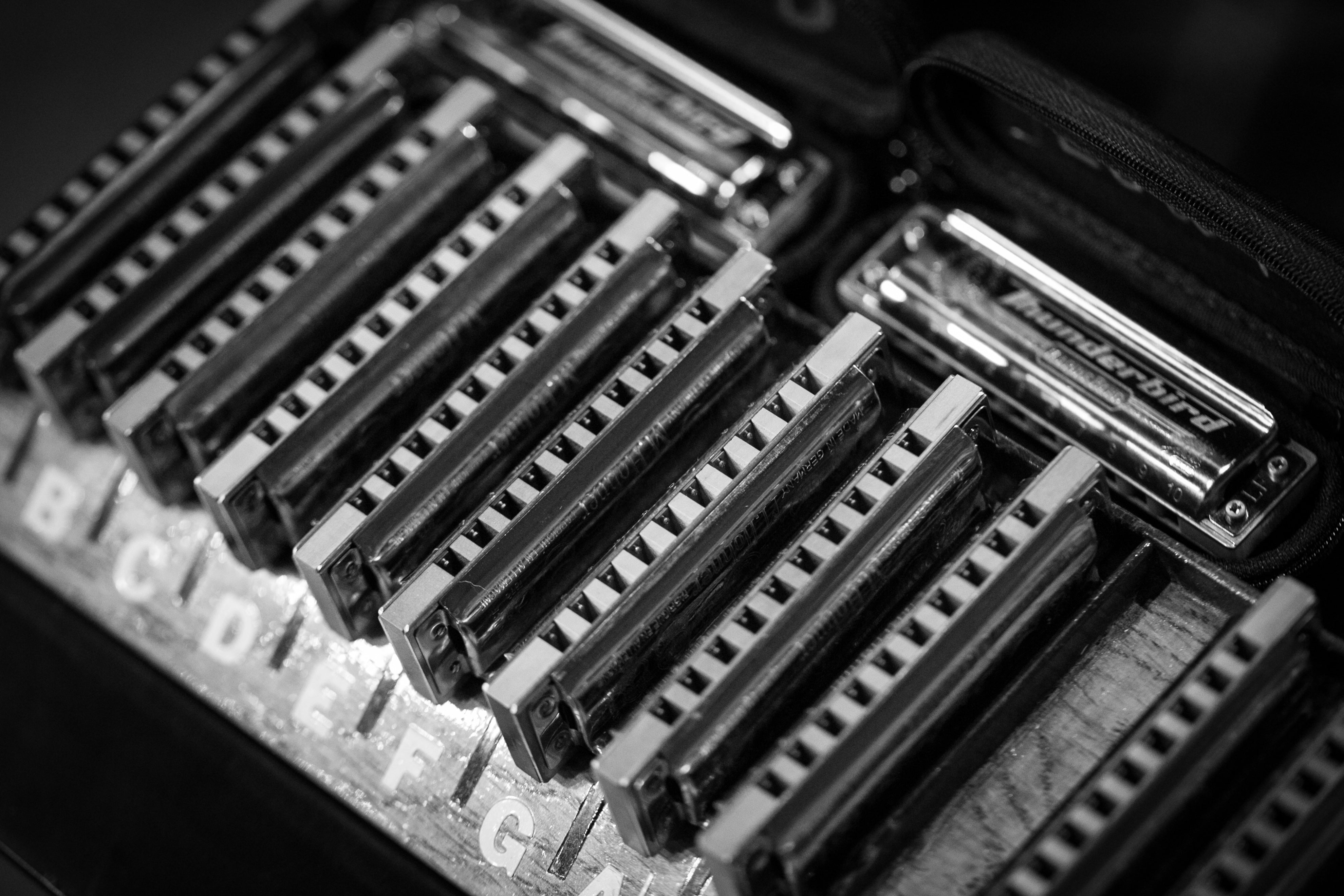 CHRIS SCHMITT - NEIL'S HARMONICAS