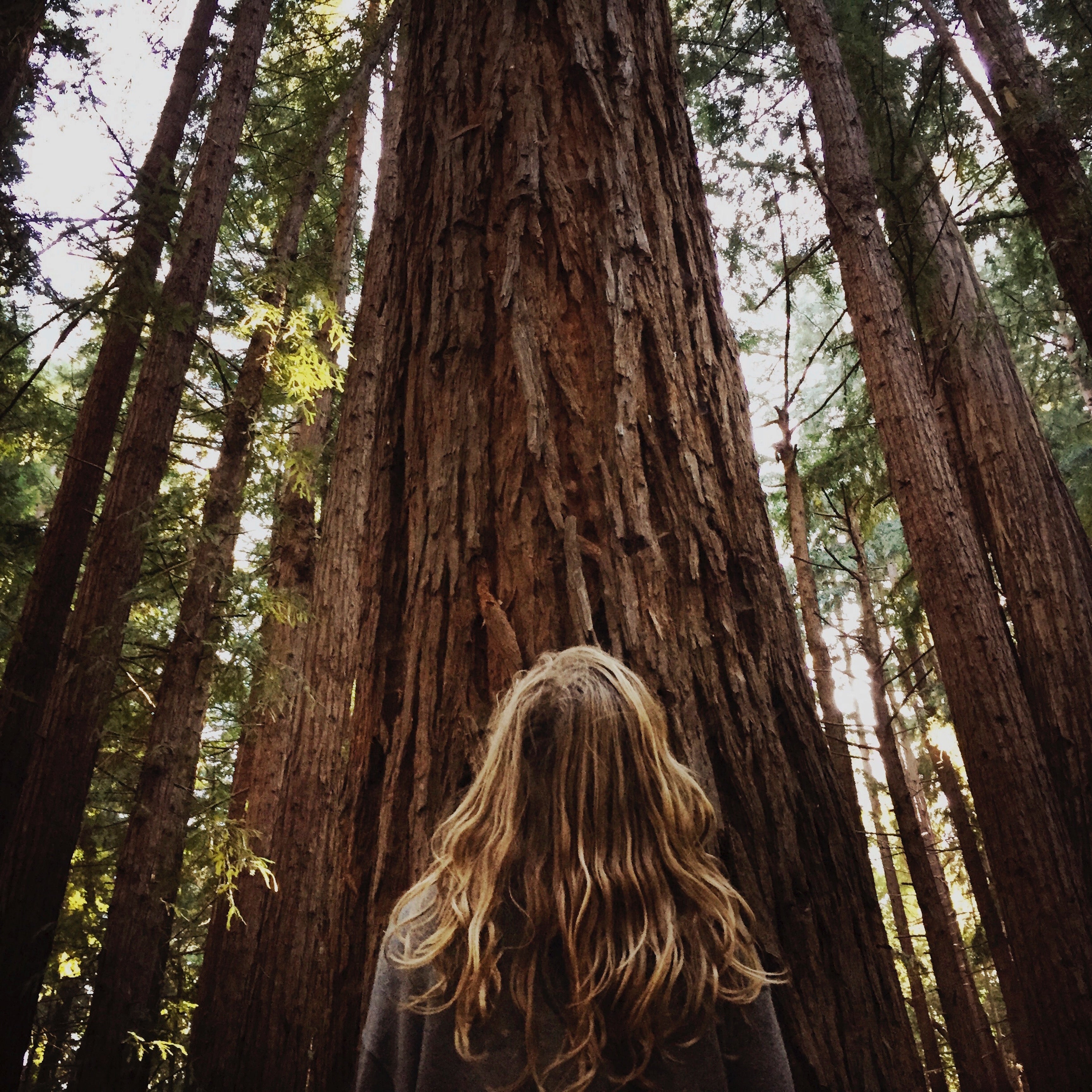 HEATHER RAE PRIEST-WHAT SHE WILL LEARN